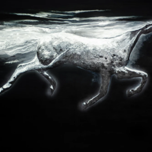 Galloping Through The Shadows - painting by Aparna Shere
